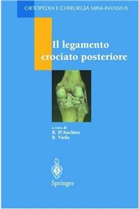 Il legamento crociato posteriore