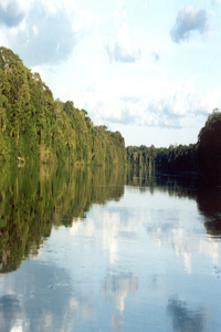 Congo's Salonga Park: Interactions Between Society, Biodiversity and Water in a Humid Tropical Forest