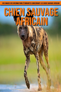 Chien Sauvage Africain
