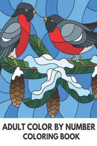Adult Color By Number Coloring Book