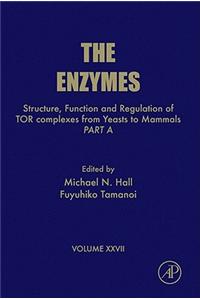 Structure, Function and Regulation of Tor Complexes from Yeasts to Mammals