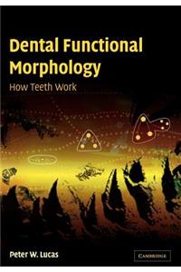 Dental Functional Morphology