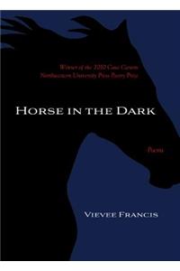 Horse in the Dark