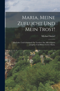 Maria, meine Zuflucht und mein Trost!