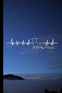 Ferret Heartbeat