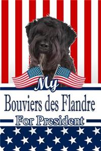 My Bouviers Des Flandre for President