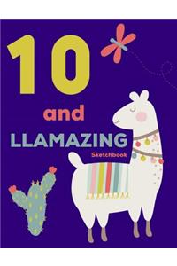10 and Llamazing Sketchbook