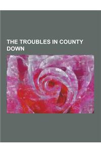 The Troubles in County Down: 1985 Newry Mortar Attack, Hm Prison Maze, Loughinisland Massacre, Miami Showband Killings, the Troubles in Ballykinler