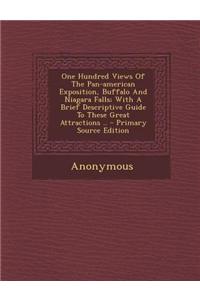 One Hundred Views of the Pan-American Exposition, Buffalo and Niagara Falls; With a Brief Descriptive Guide to These Great Attractions .. - Primary So