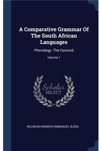 Comparative Grammar Of The South African Languages