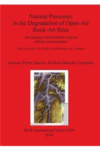 Natural Processes in the Degradation of Open-Air Rock-Art Sites