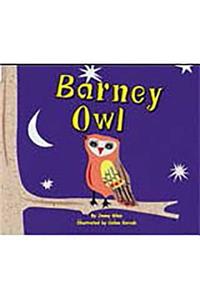Rigby Flying Colors: Individual Student Edition Red Barney Owl