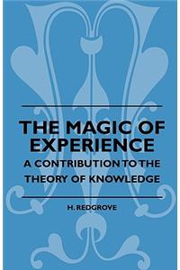 Magic of Experience - A Contribution to the Theory of Knowledge