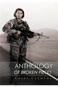 Anthology of Broken Pieces