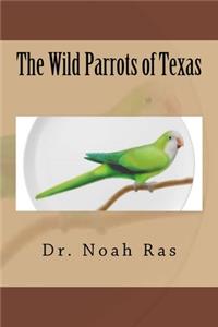 Wild Parrots of Texas