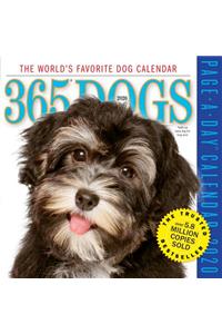 365 Dogs Page-A-Day Calendar 2020