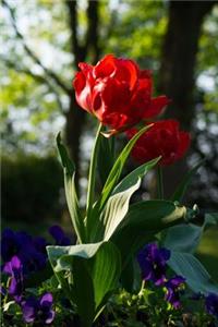 Red Tulip and Purple Pansy Journal