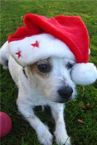 Dog Wearing a Christmas Hat Journal