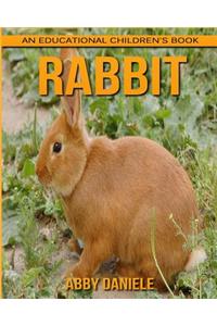 Rabbit! An Educational Children's Book about Rabbit with Fun Facts & Photos