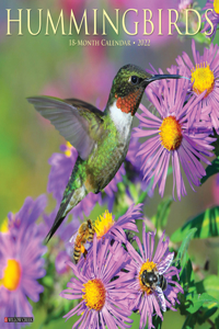 Hummingbirds 2022 Wall Calendar