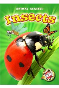 Insects