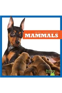 Mammals