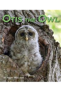 Otis the Owl