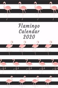 Flamingo Calendar 2020