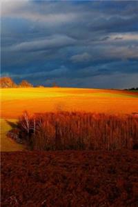 Field Notebook