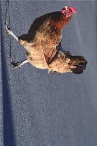 Just a Chicken Crossing the Road Journal