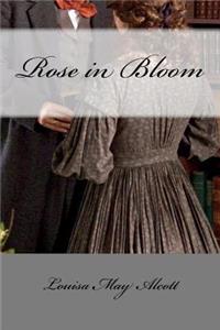 Rose in Bloom