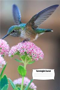 Hummingbird Journal