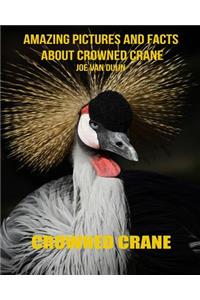 Crowned Crane