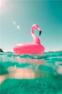 Flamingo Journal Notebook: Blank Lined Medium Ruled