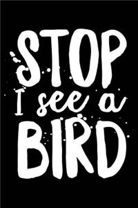 Stop I See a Bird