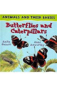 Butterflies and Caterpillars