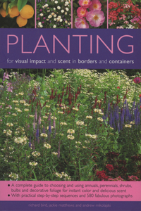 Planting for Visual Impact and Scent in Borders and Containers