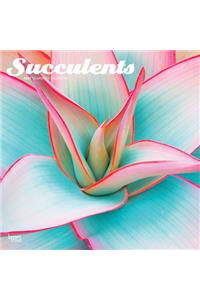 Succulents 2021 Square