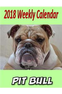 2018 Weekly Calendar Pit Bull