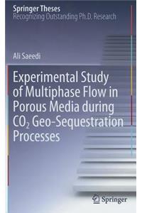 Experimental Study of Multiphase Flow in Porous Media During CO2 Geo-Sequestration Processes