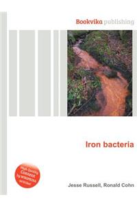 Iron Bacteria
