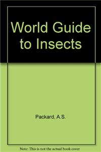World Guide to Insects