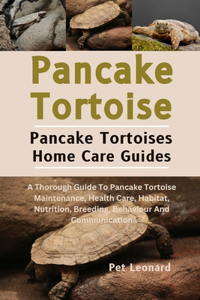 Pancake Tortoise