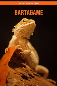 Bartagame! (Entdecke deine Tiere)