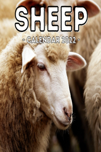 Sheep Calendar 2022