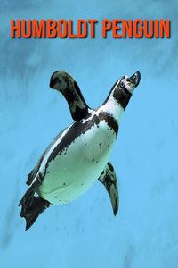 Humboldt Penguin