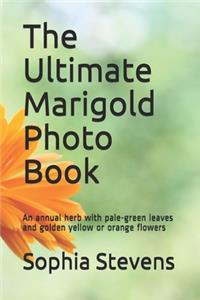The Ultimate Marigold Photo Book