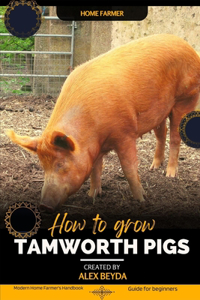 Tamworth Pigs