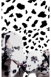 dalmatian drawing writing journal