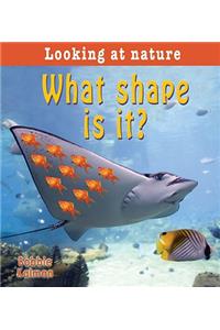 What Shape Is It?